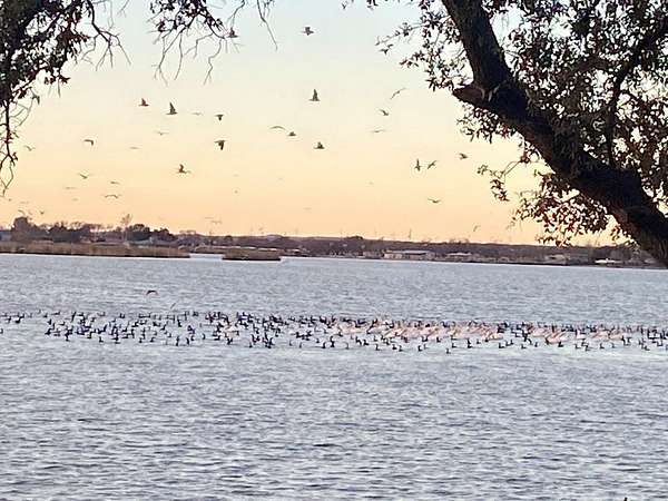 0.44 Acres of Residential Land for Sale in San Angelo, Texas