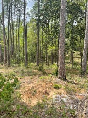 0.42 Acres of Residential Land for Sale in Daphne, Alabama