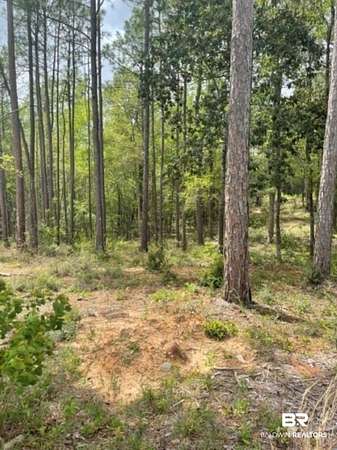 0.42 Acres of Residential Land for Sale in Daphne, Alabama
