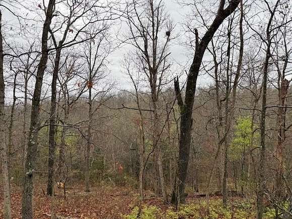 0.1 Acres of Land for Sale in Bella Vista, Arkansas