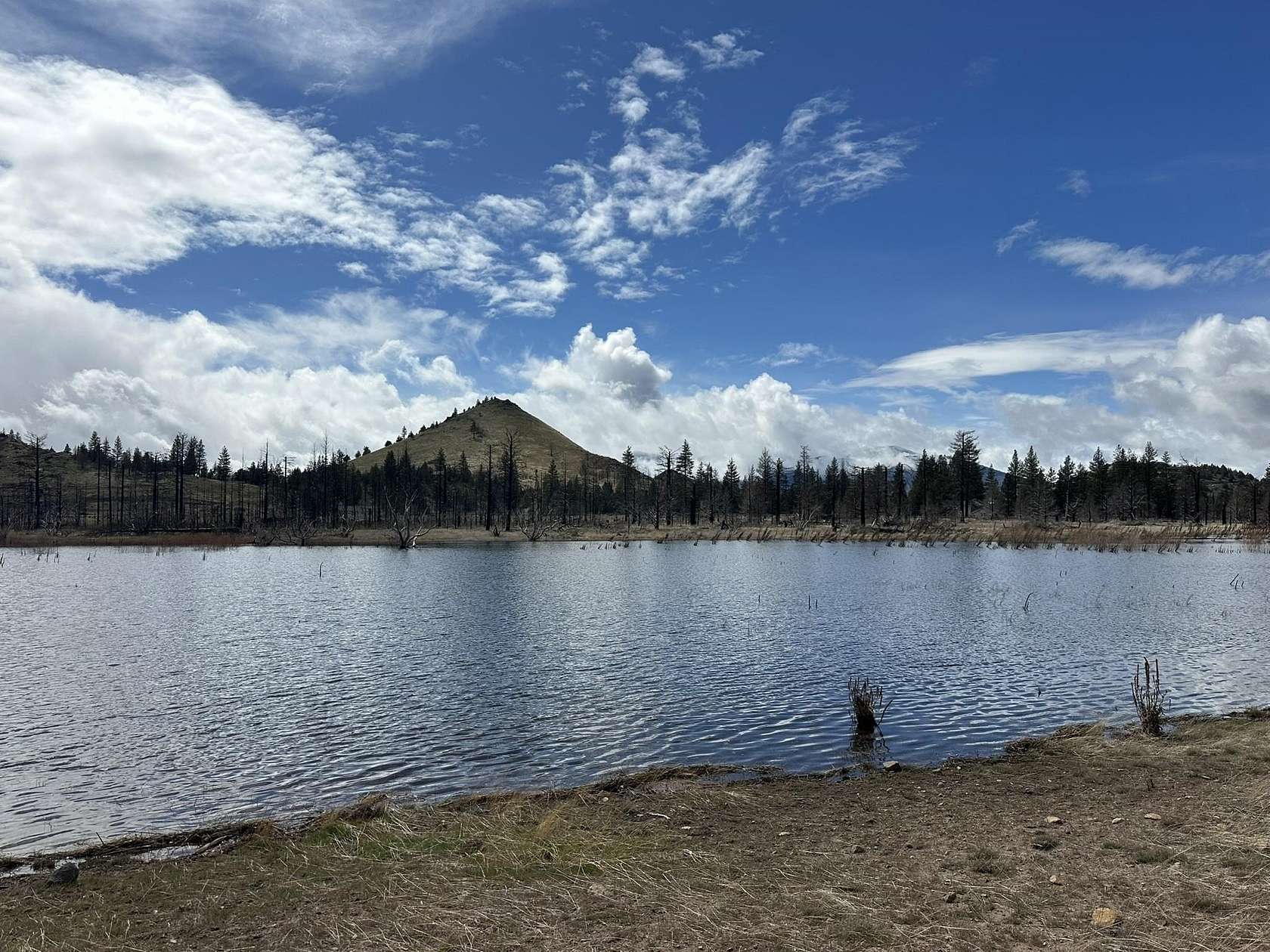 0.23 Acres of Residential Land for Sale in Weed, California