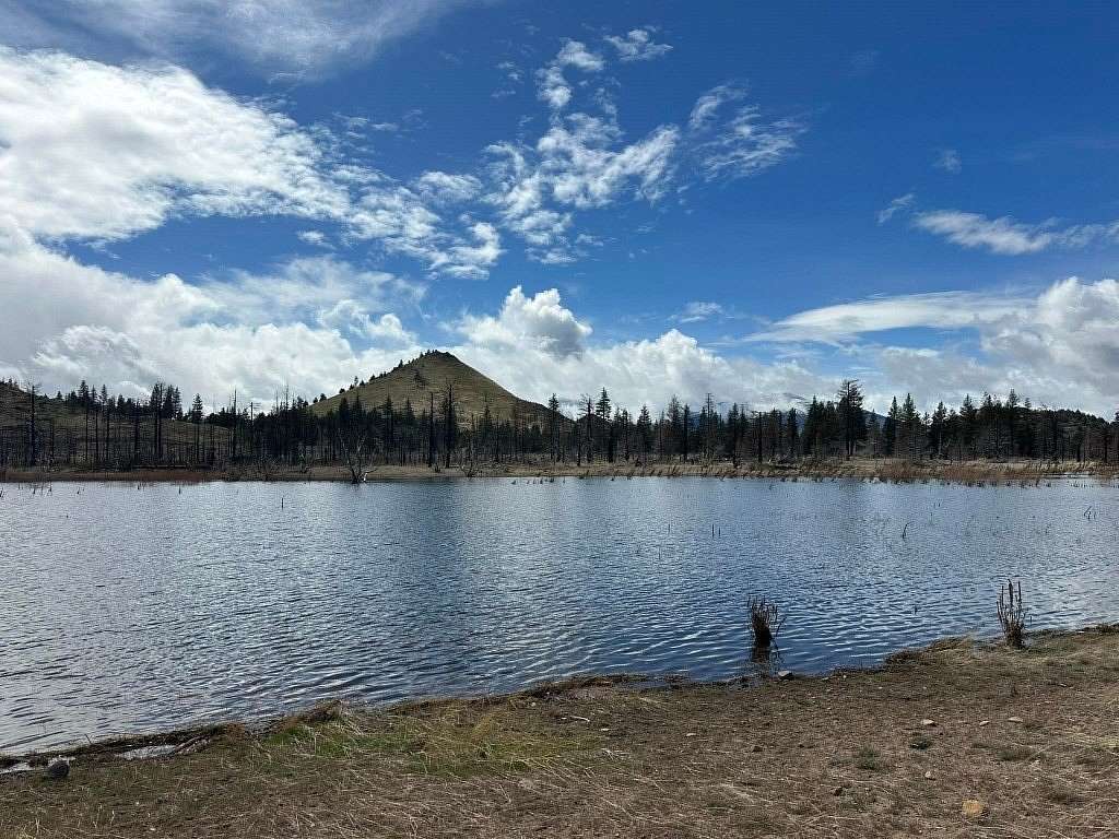 0.23 Acres of Residential Land for Sale in Weed, California