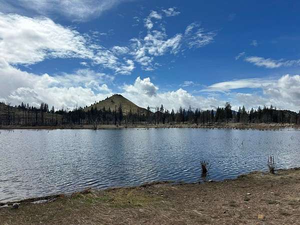 0.23 Acres of Residential Land for Sale in Weed, California