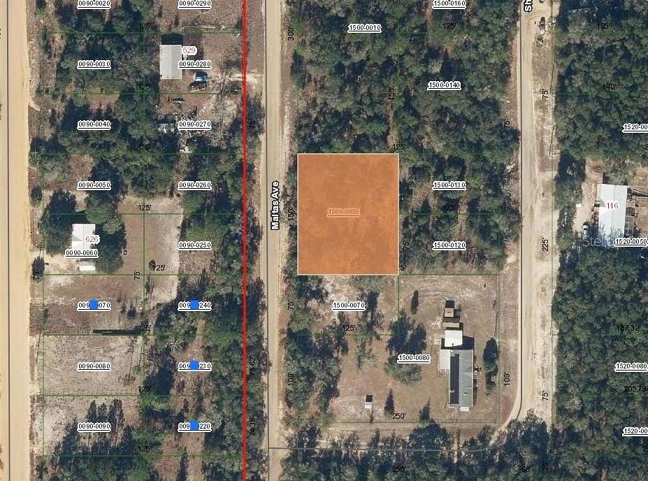 0.43 Acres of Land for Sale in Interlachen, Florida