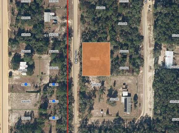 0.43 Acres of Land for Sale in Interlachen, Florida