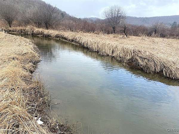 71 Acres of Recreational Land for Sale in Alma, New York