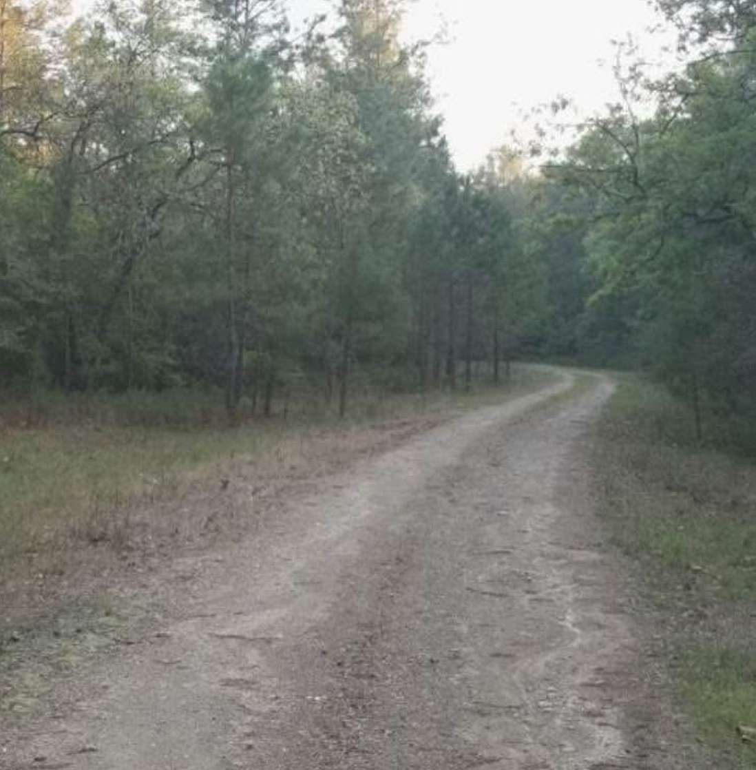 0.35 Acres of Residential Land for Sale in Trinity, Texas