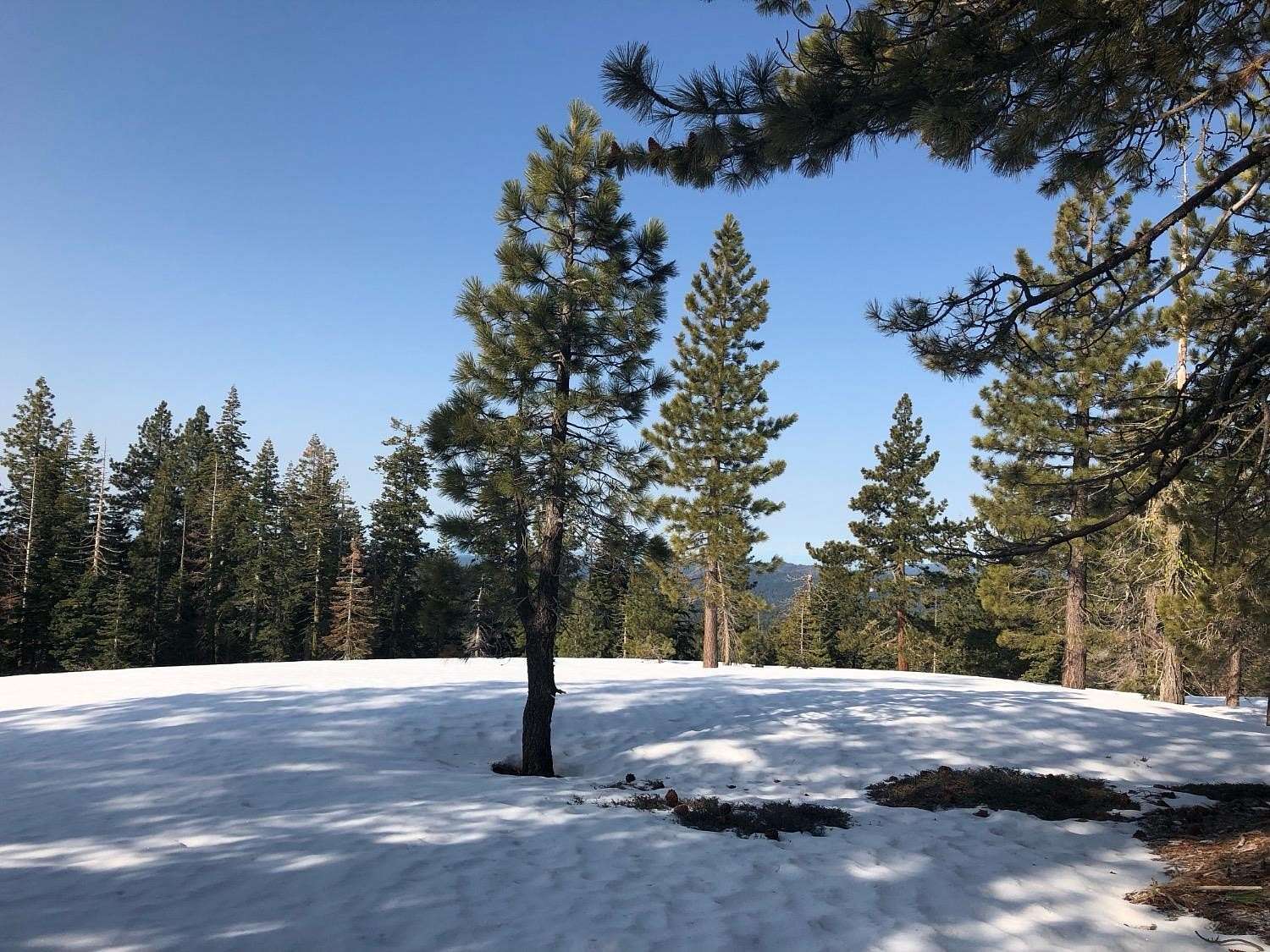 5.1 Acres of Recreational Land for Sale in Dorrington, California