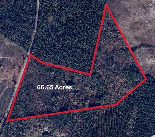 66.7 Acres of Recreational Land for Sale in Midville, Georgia