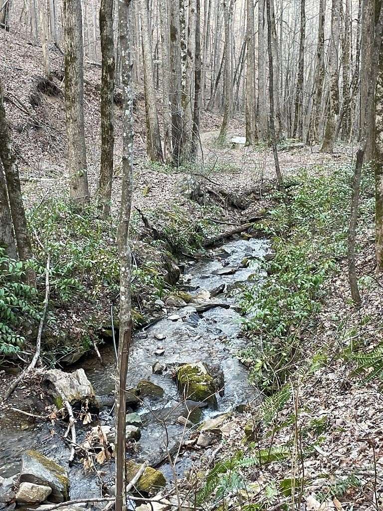 15 Acres of Land for Sale in Bryson City, North Carolina