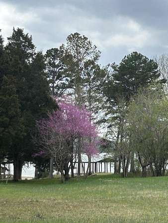 1.54 Acres of Residential Land for Sale in Spring City, Tennessee