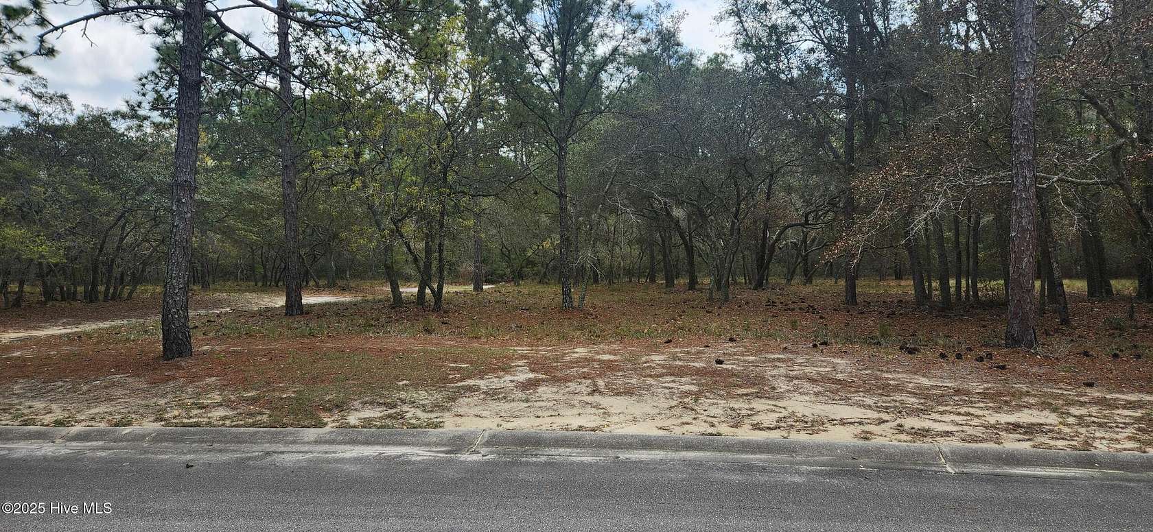 0.51 Acres of Residential Land for Sale in Supply, North Carolina