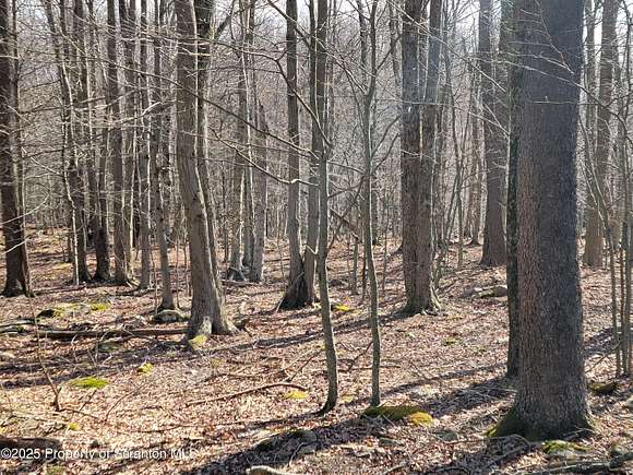 0.83 Acres of Residential Land for Sale in Gouldsboro, Pennsylvania