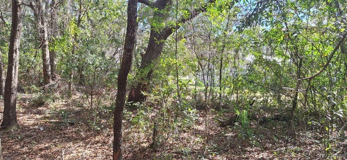 0.22 Acres of Residential Land for Sale in Hernando, Florida