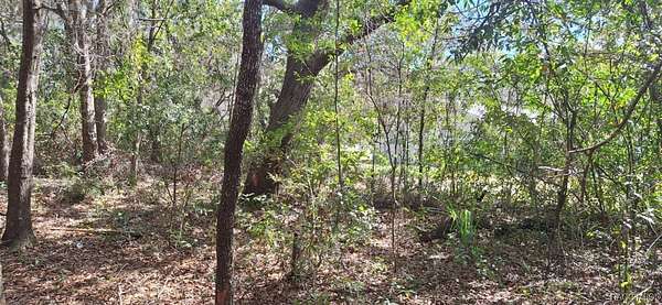 0.22 Acres of Residential Land for Sale in Hernando, Florida