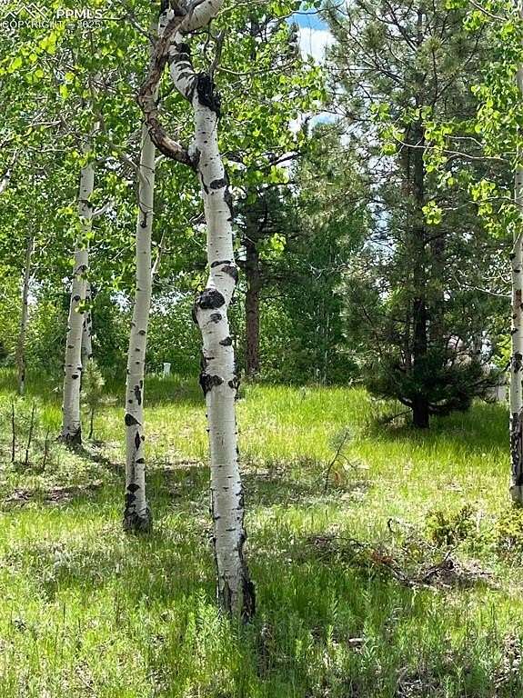 0.56 Acres of Land for Sale in Woodland Park, Colorado