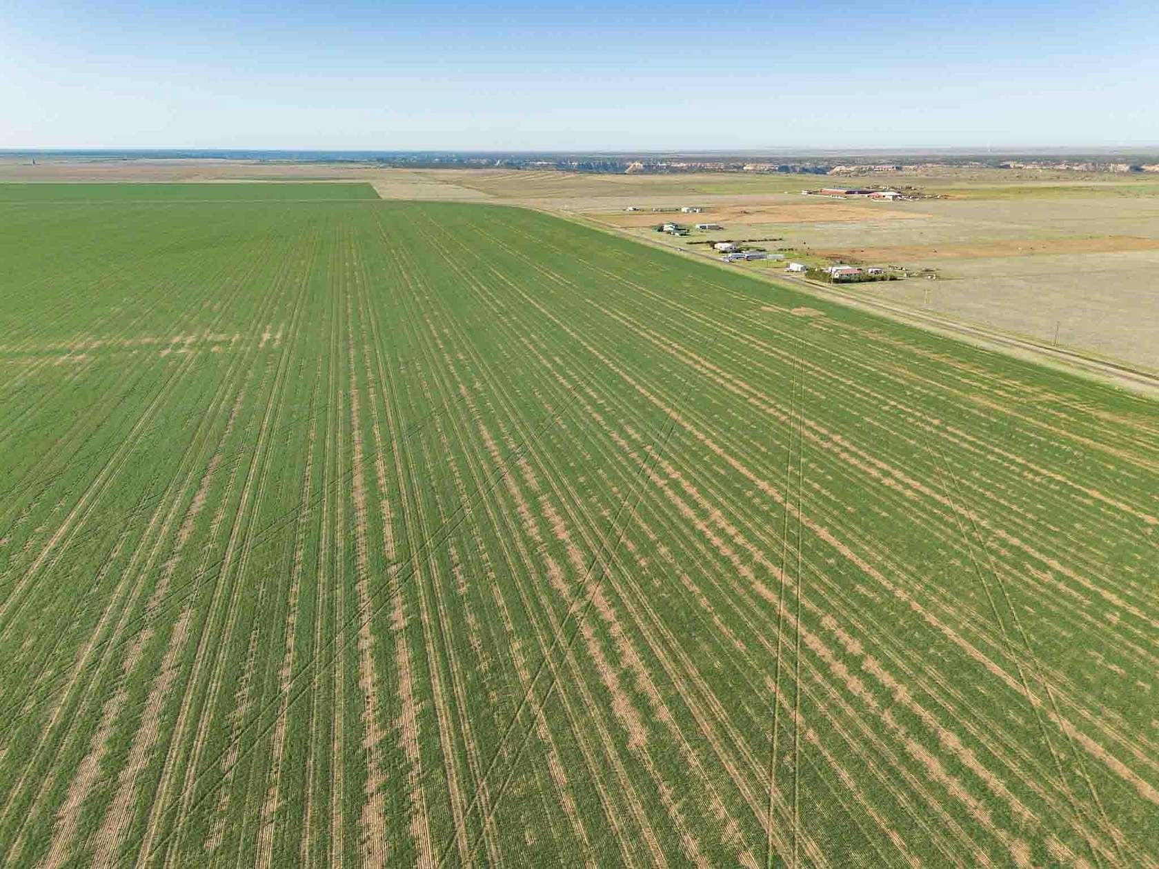 1,275 Acres of Land for Sale in Claude, Texas