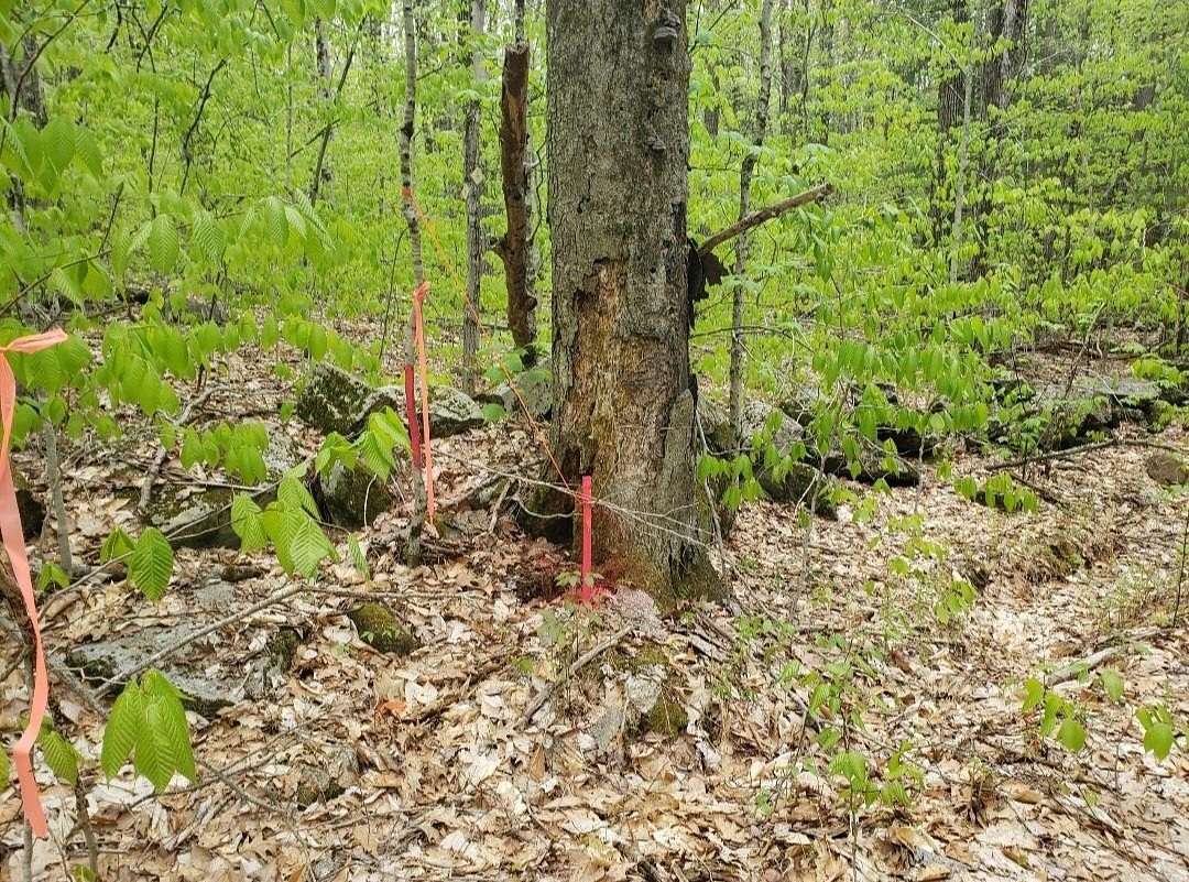 14.3 Acres of Land for Sale in Keene, New Hampshire