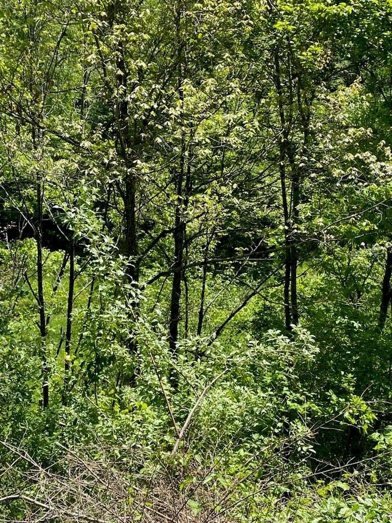 49 Acres of Recreational Land for Sale in Royalton, Kentucky