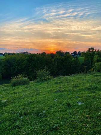 80 Acres of Agricultural Land for Sale in Paint Lick, Kentucky