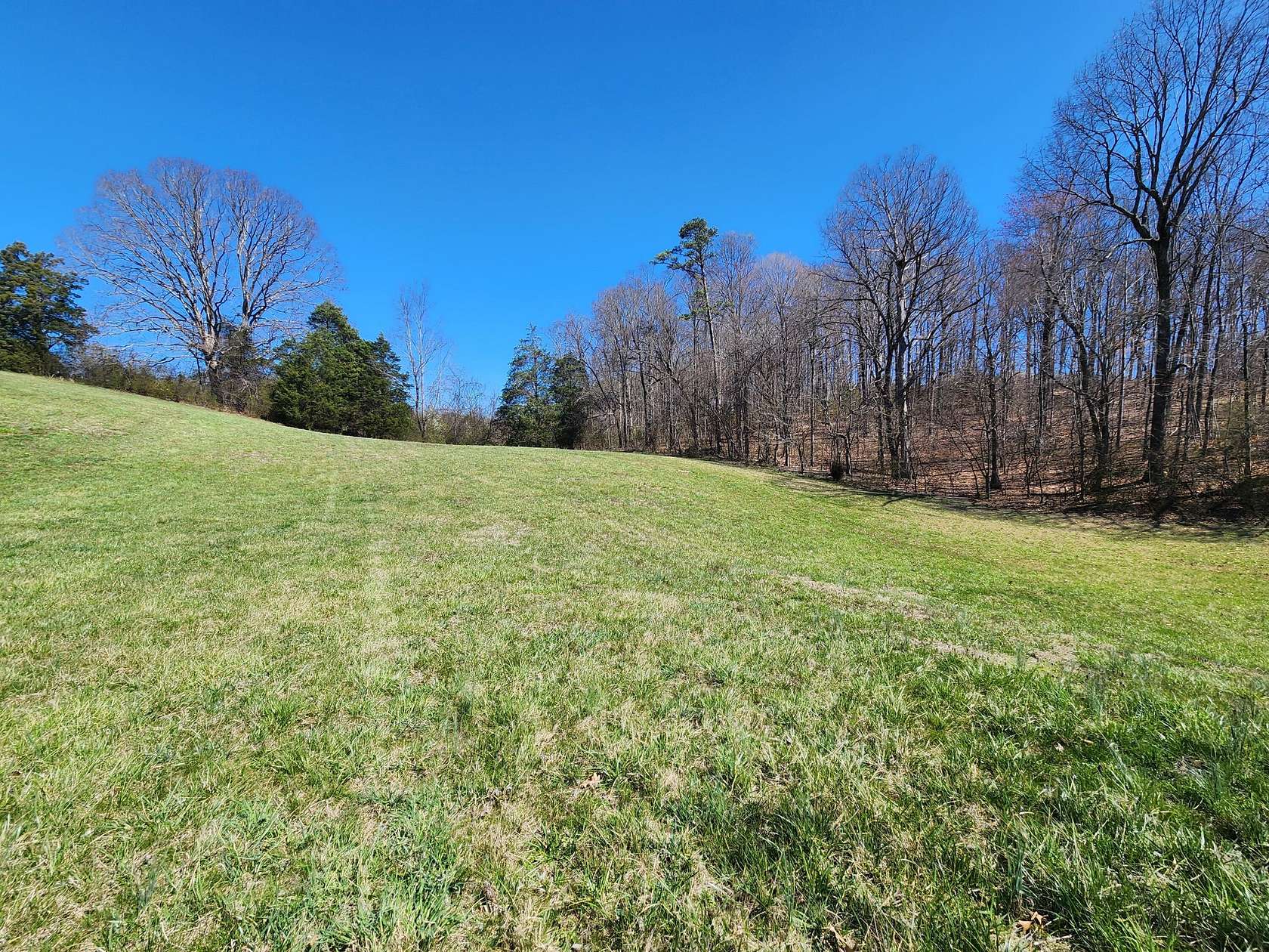 1 Acre of Residential Land for Sale in Rutledge, Tennessee