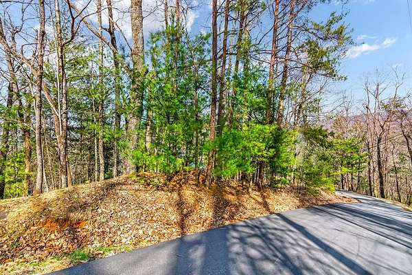 0.51 Acres of Residential Land for Sale in Ellijay, Georgia