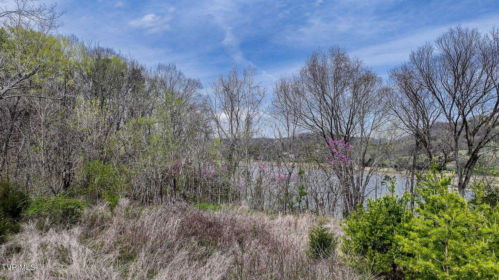 44.4 Acres of Recreational Land for Sale in Rogersville, Tennessee