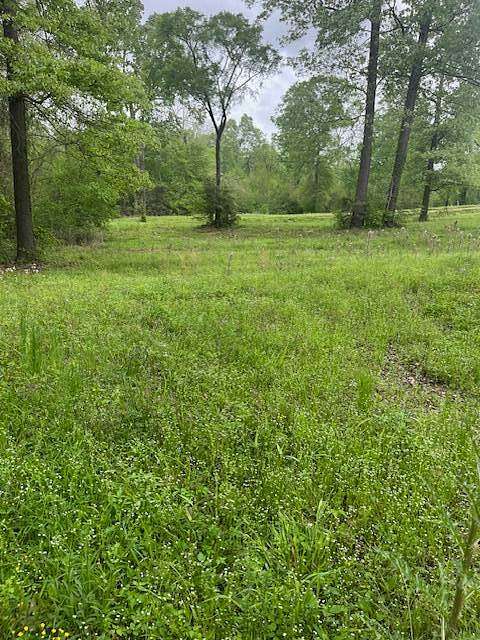 1.1 Acres of Residential Land for Sale in Many, Louisiana