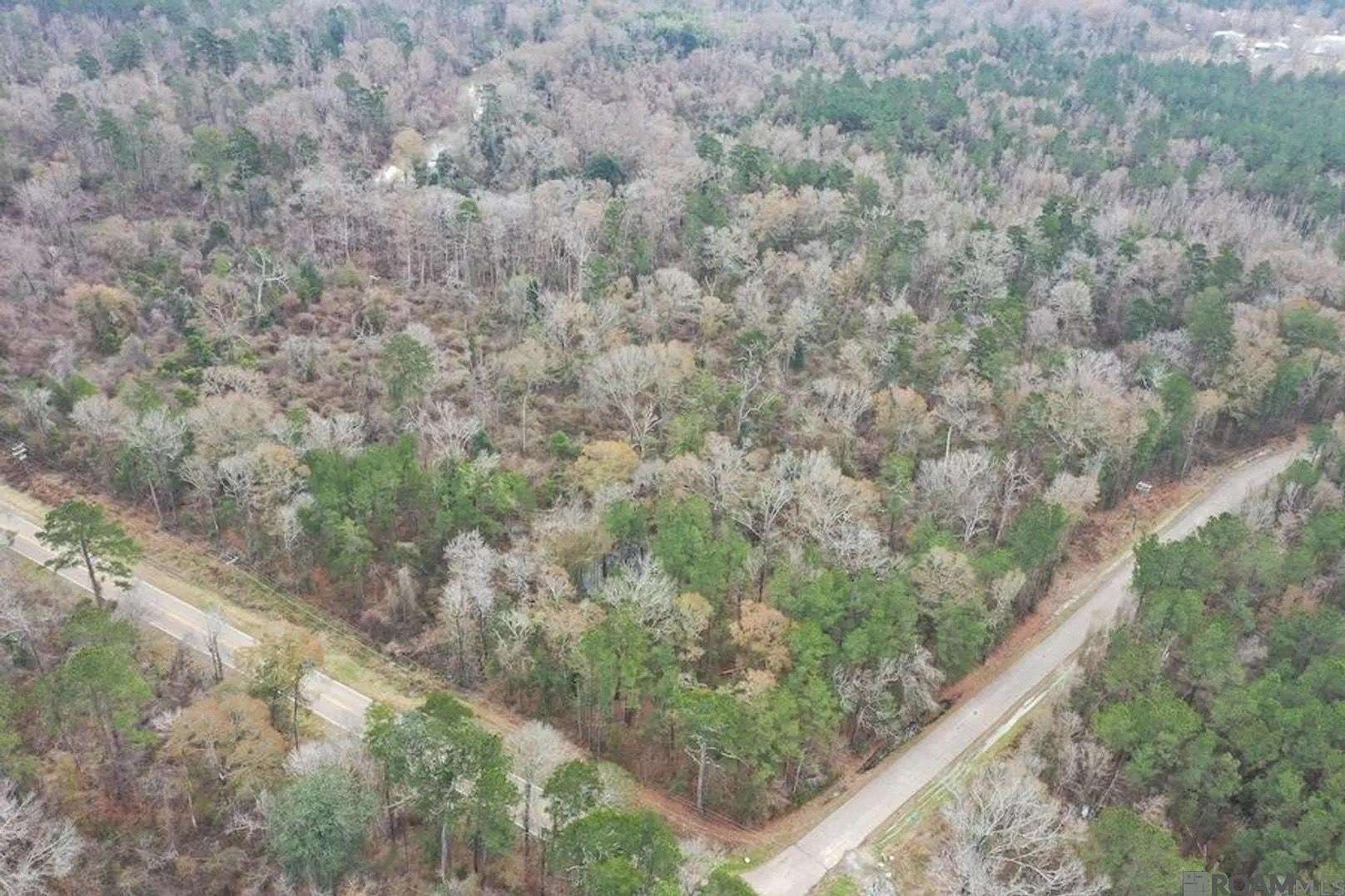 8 Acres of Land for Sale in Holden, Louisiana