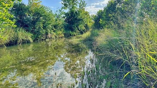 8.85 Acres of Residential Land for Sale in Medina, Texas