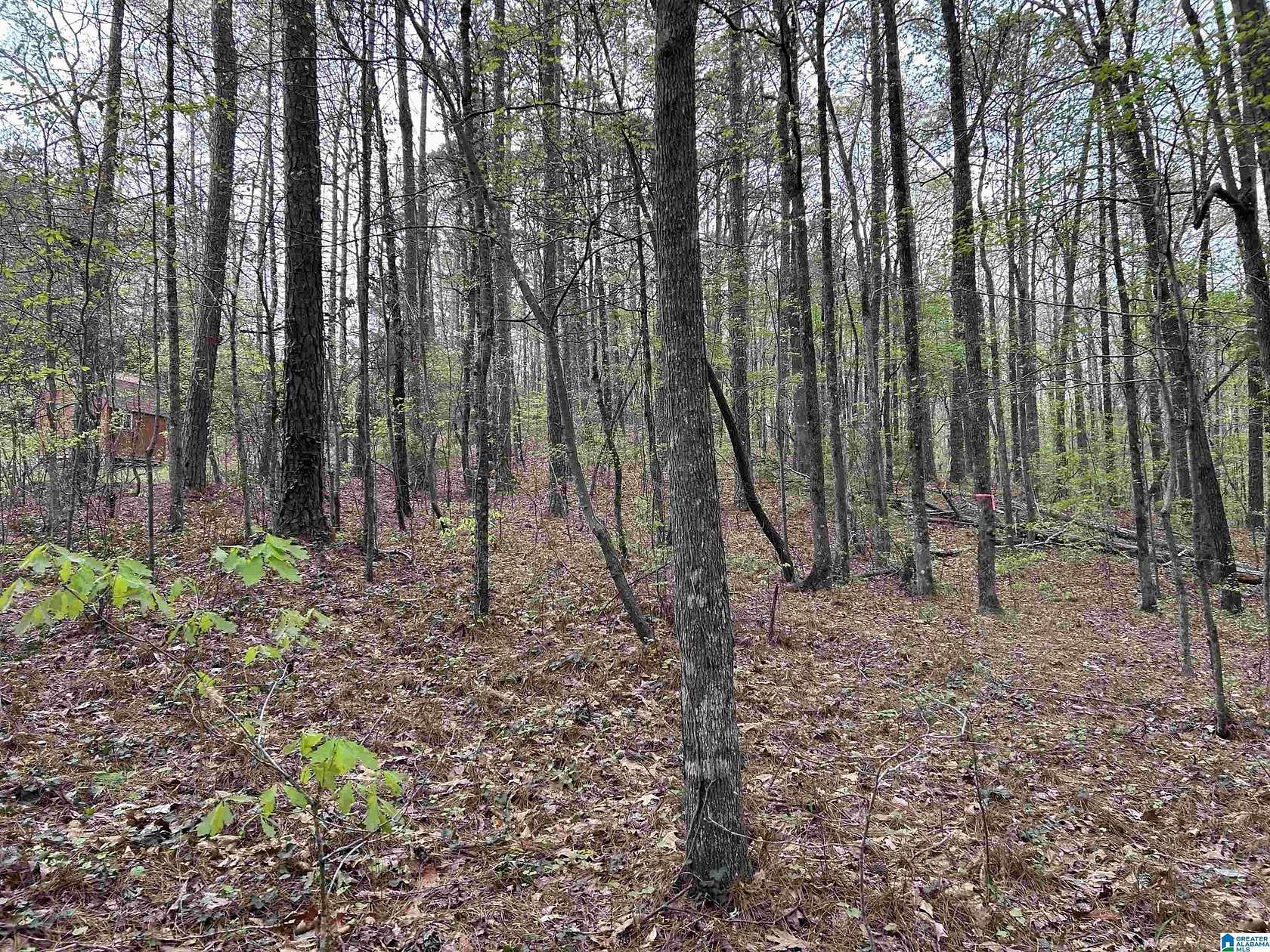 0.5 Acres of Residential Land for Sale in Lakeview, Alabama