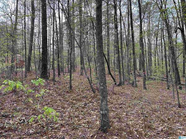 0.5 Acres of Residential Land for Sale in Lakeview, Alabama