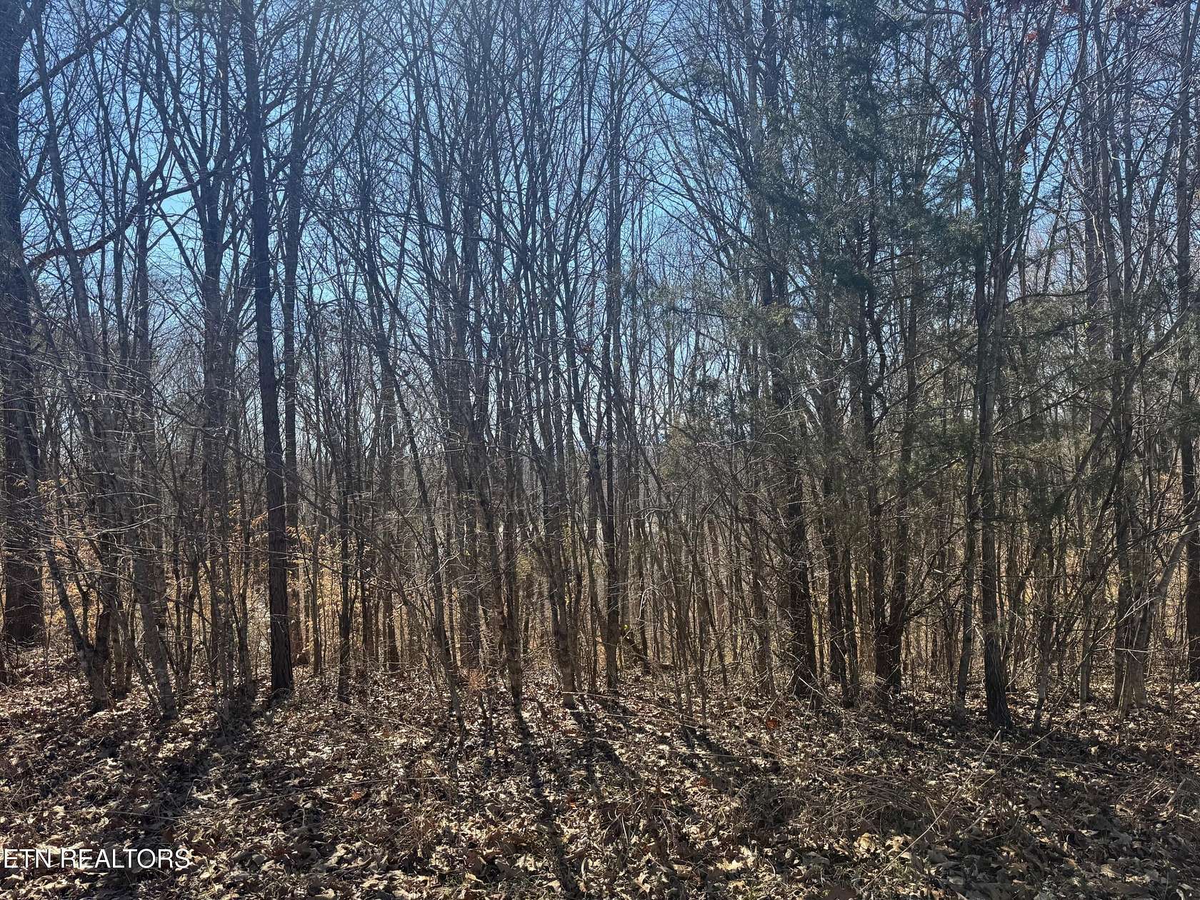 2 Acres of Residential Land for Sale in Speedwell, Tennessee