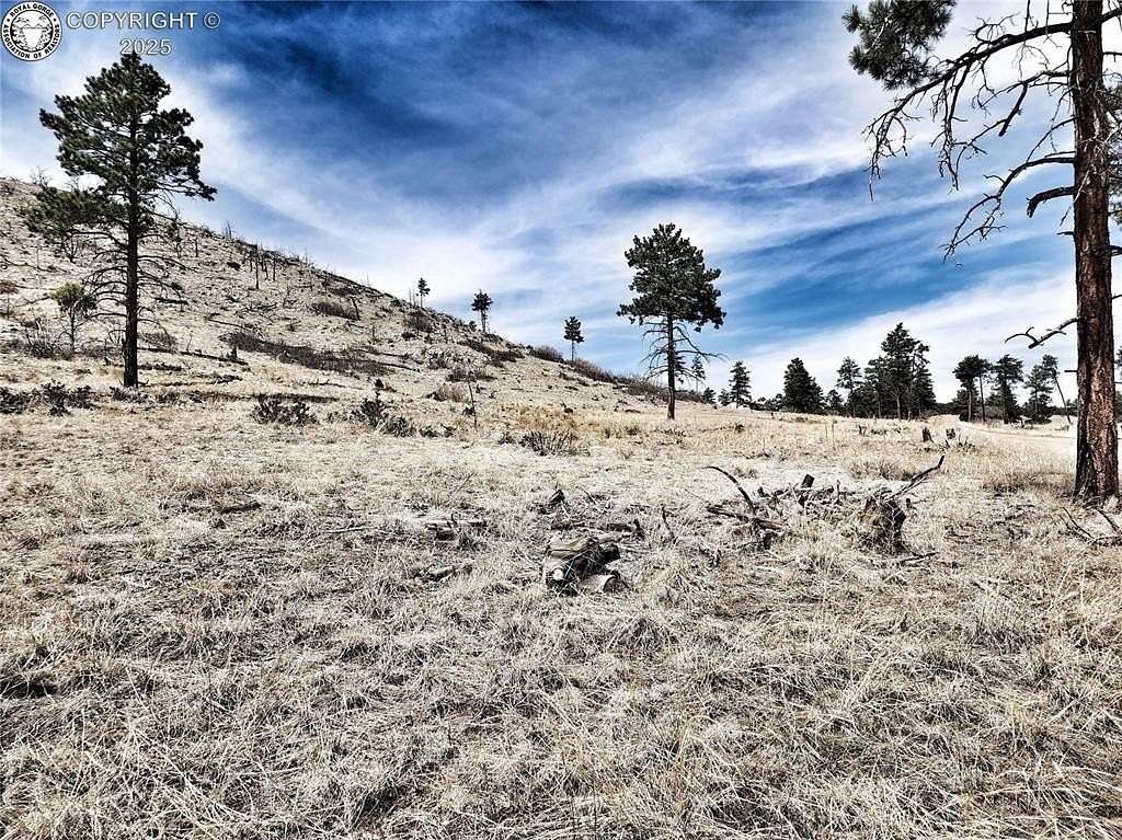 6.7 Acres of Land for Sale in Cotopaxi, Colorado