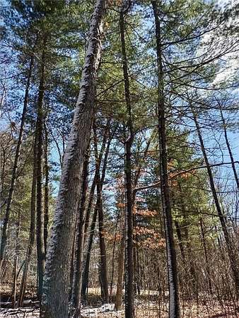 0.73 Acres of Residential Land for Sale in Eau Galle, Wisconsin