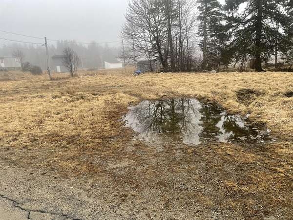 0.4 Acres of Mixed-Use Land for Sale in Machias, Maine