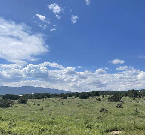 20.5 Acres of Recreational Land for Sale in Sandia Park, New Mexico