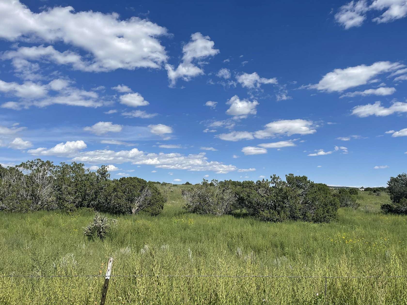 20.5 Acres of Land for Sale in Sandia Park, New Mexico