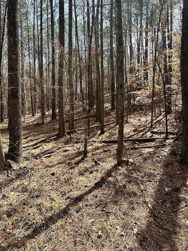 10.8 Acres of Land for Sale in Plainville, Georgia