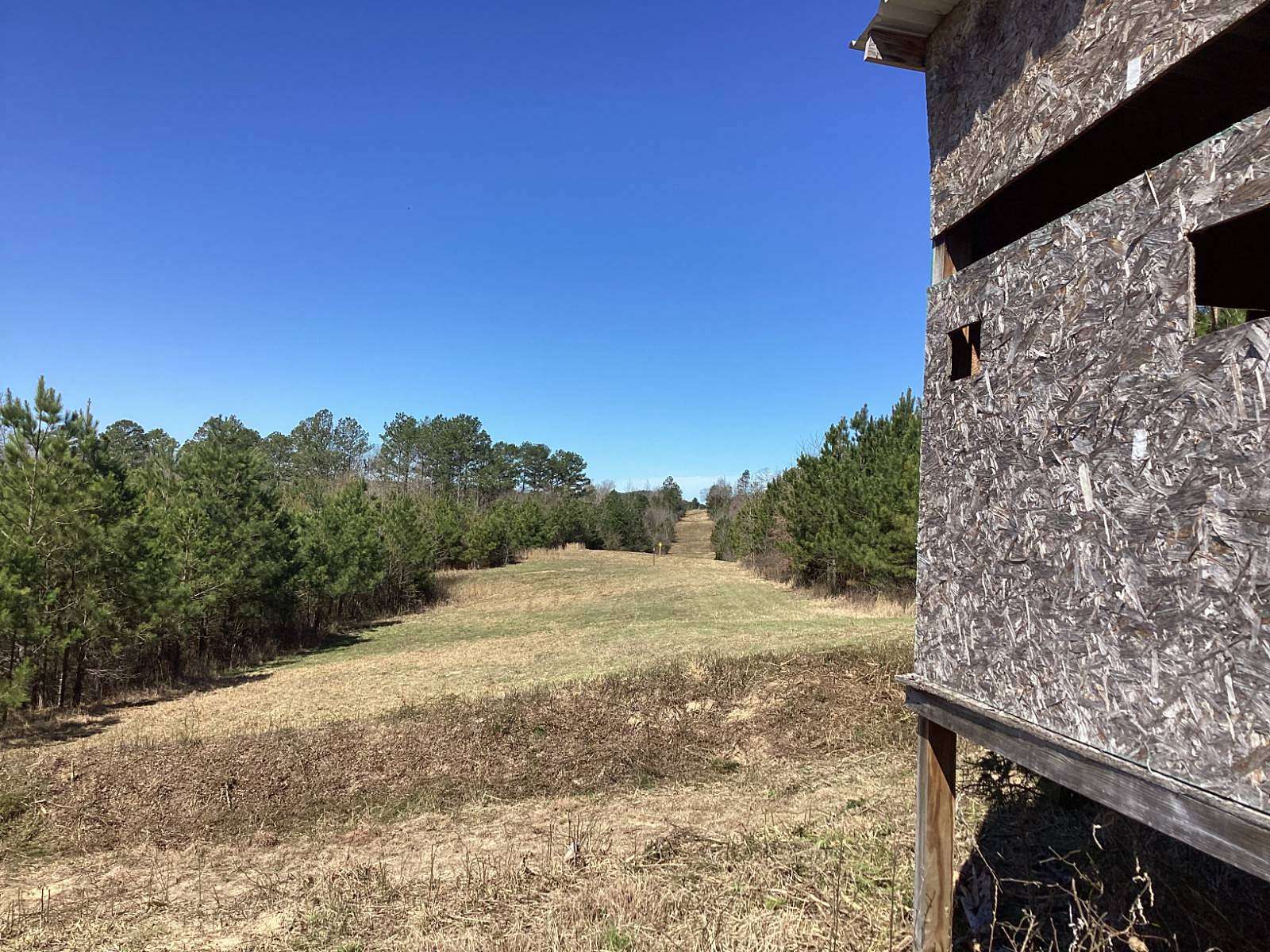 110 Acres of Recreational Land for Sale in Vandervoort, Arkansas