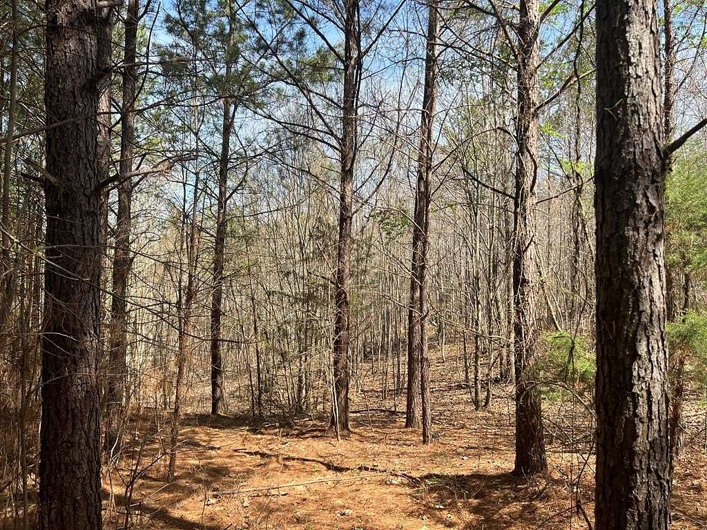 5 Acres of Land for Sale in Rome, Georgia