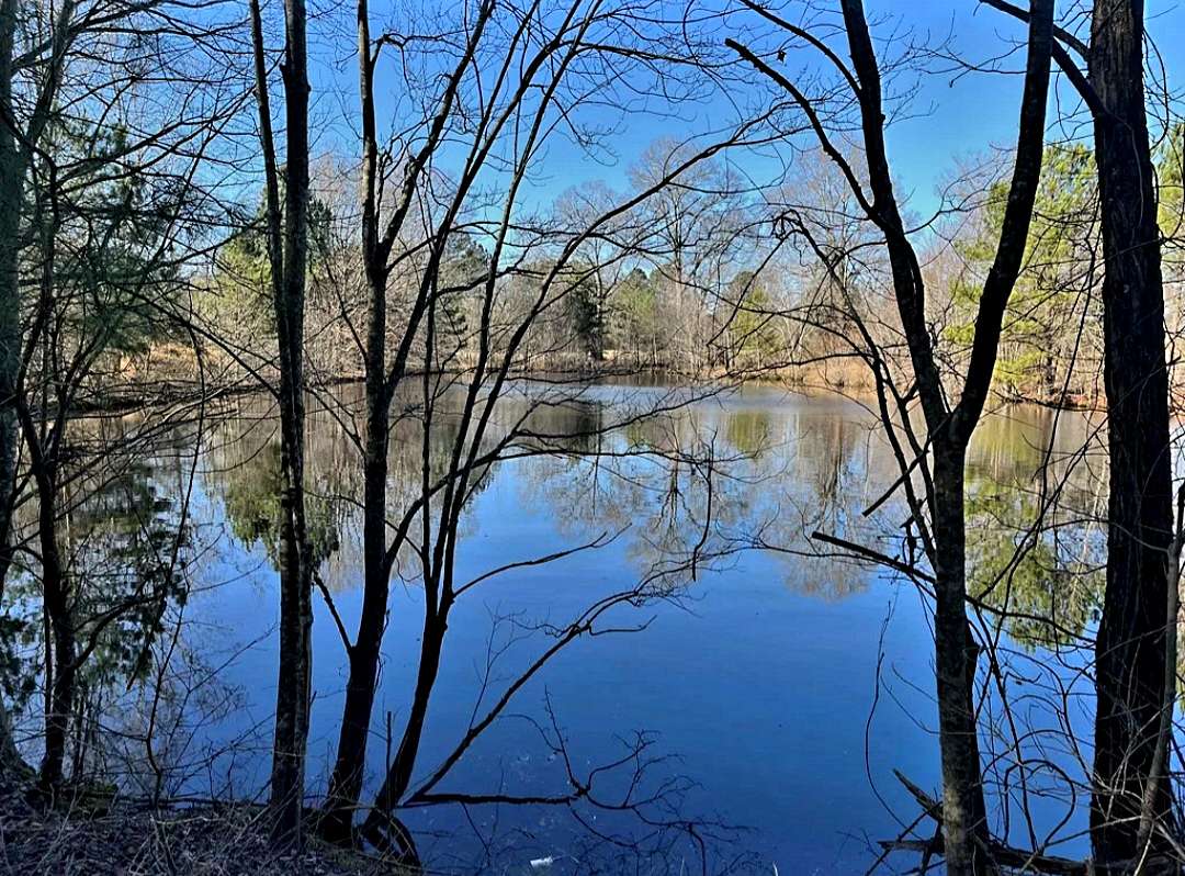 42.7 Acres of Commercial Land for Sale in Resaca, Georgia
