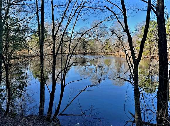 42.7 Acres of Commercial Land for Sale in Resaca, Georgia