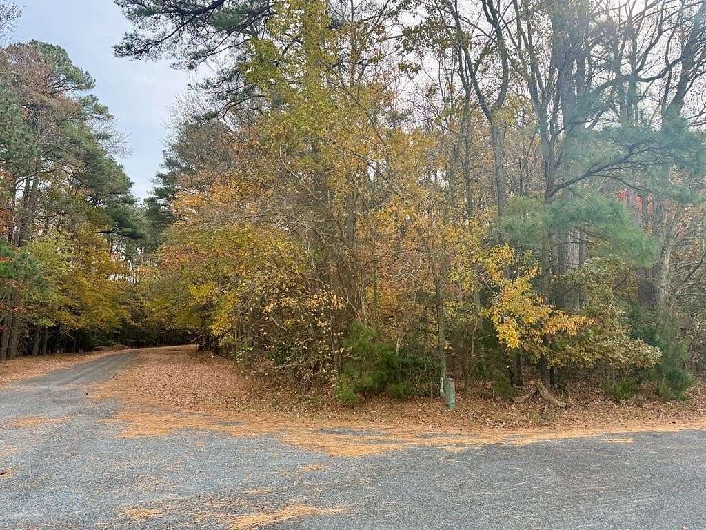0.25 Acres of Residential Land for Sale in Greenbackville, Virginia
