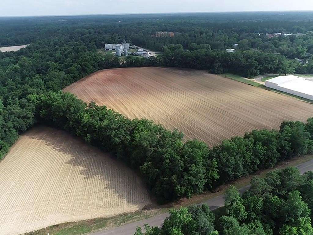 11.8 Acres of Land for Sale in Cottonwood, Alabama