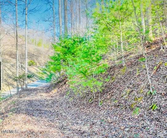 1.32 Acres of Residential Land for Sale in Butler, Tennessee