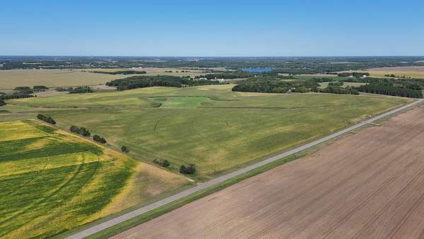 119 Acres of Agricultural Land for Sale in Browerville, Minnesota