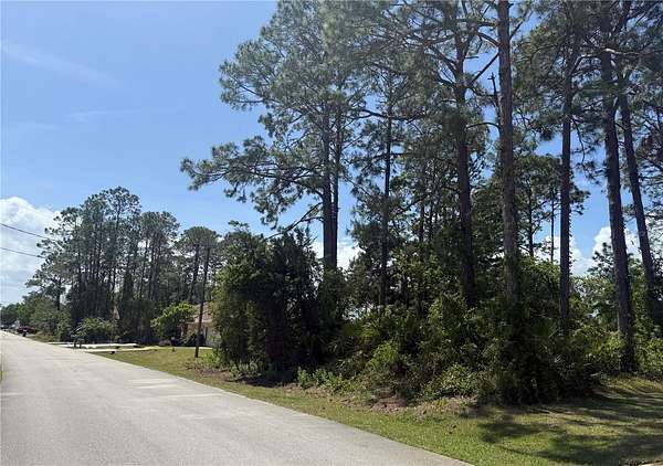 0.23 Acres of Residential Land for Sale in Palm Coast, Florida