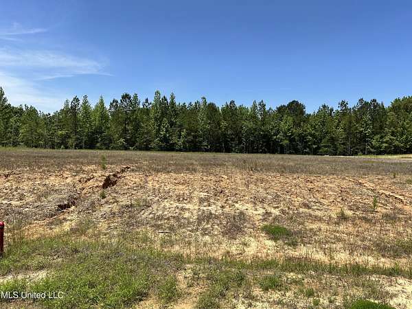 2 Acres of Land for Sale in Lake Cormorant, Mississippi