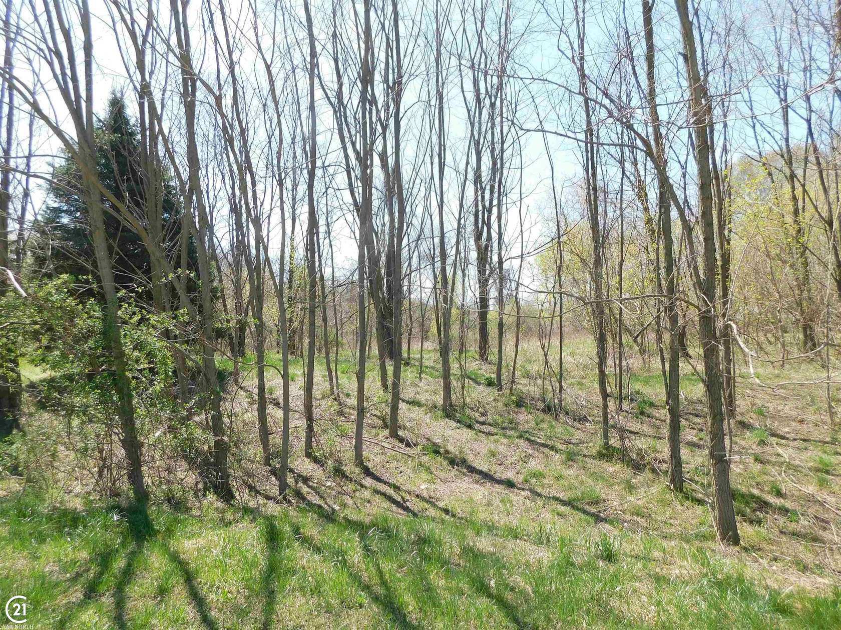 3.3 Acres of Residential Land for Sale in Dryden, Michigan